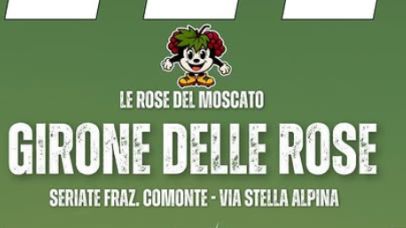 Immagine anteprima